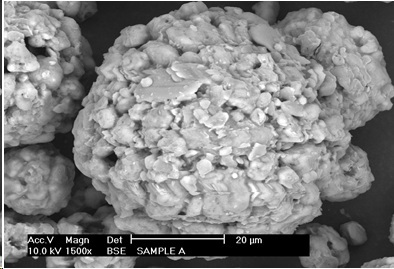 Sorbent Photomicrograph